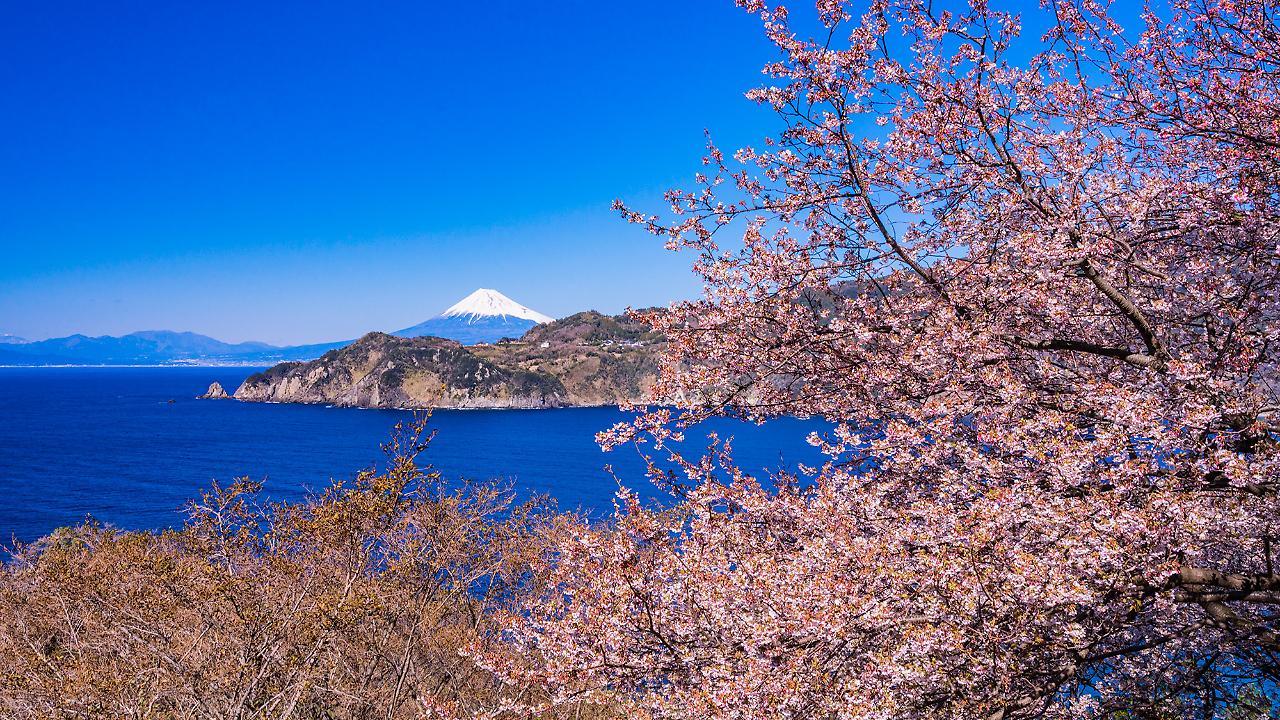 Ooedo Onsen Monogatari Toi Marine Hotel Izu  Eksteriør bilde